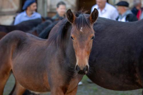 Photos concours 2024-134