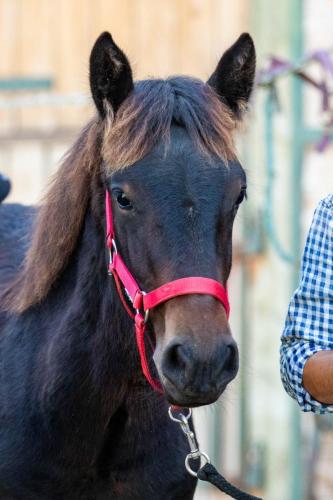 Photos concours 2024-135