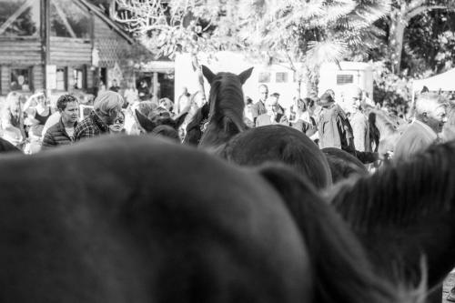 Photos concours 2024-136