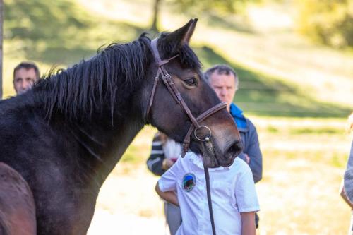 Photos concours 2024-138