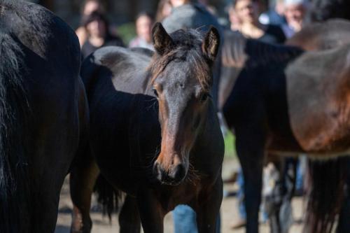 Photos concours 2024-139