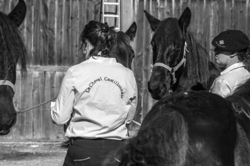 Photos concours 2024-140