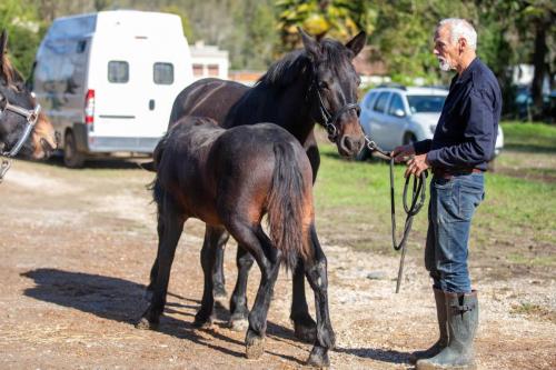 Photos concours 2024-141