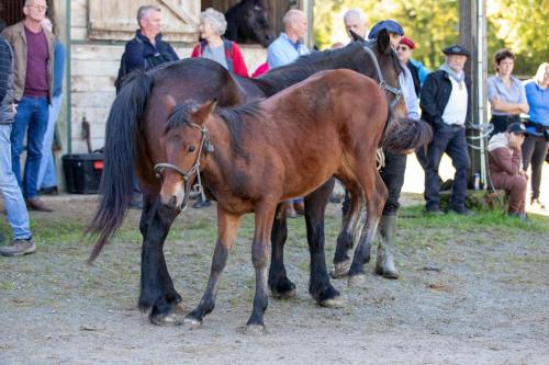 Photos concours 2024-142