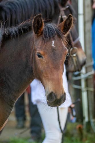 Photos concours 2024-143