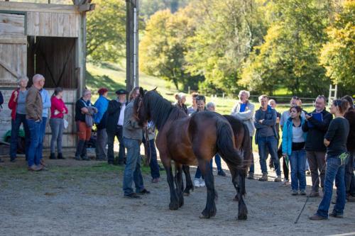 Photos concours 2024-144