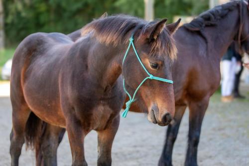 Photos concours 2024-145