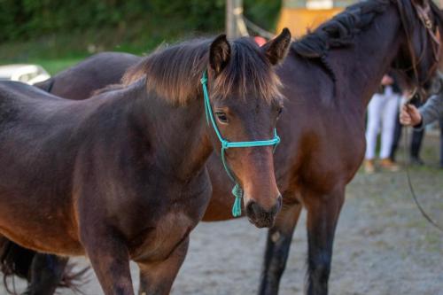 Photos concours 2024-146