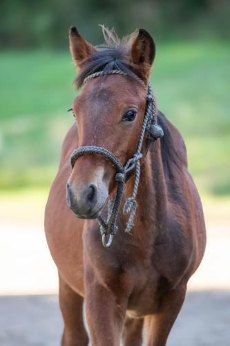 Photos concours 2024-148