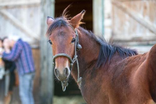 Photos concours 2024-149