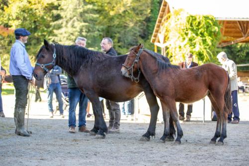 Photos concours 2024-150