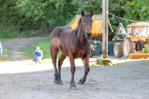 Photos concours 2024-151