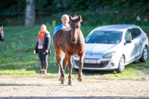 Photos concours 2024-152