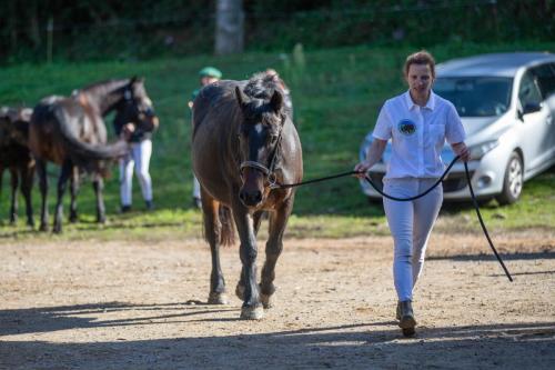 Photos concours 2024-153