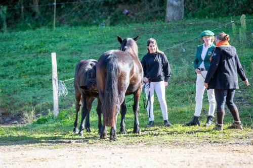 Photos concours 2024-154