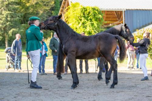 Photos concours 2024-155