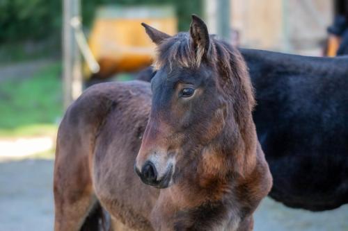 Photos concours 2024-156