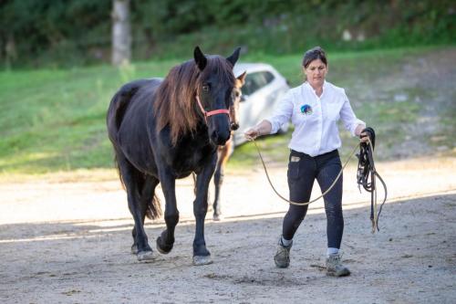 Photos concours 2024-157