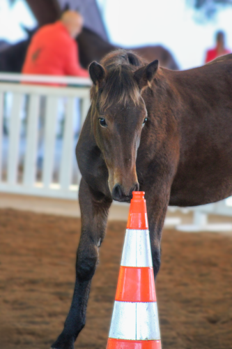 image00065